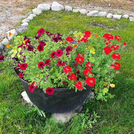 Kadakasuitsu Loodustalu Saarekula