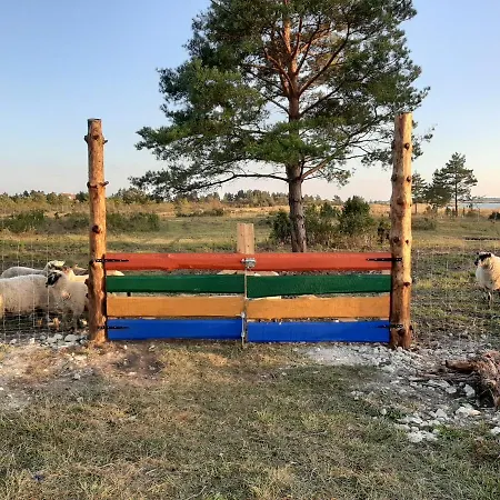 Kadakasuitsu Loodustalu Дом отдыха Saarekula