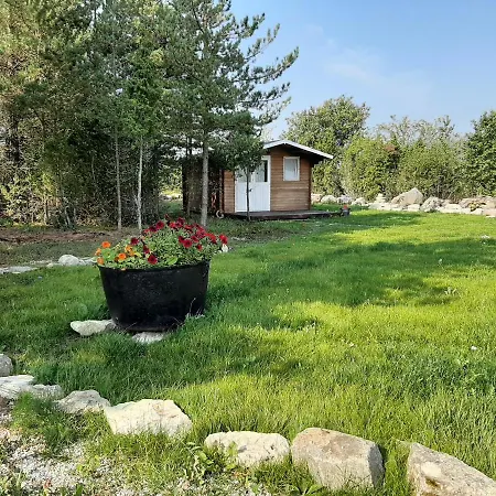 Kadakasuitsu Loodustalu Дом отдыха