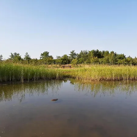 Kadakasuitsu Loodustalu *