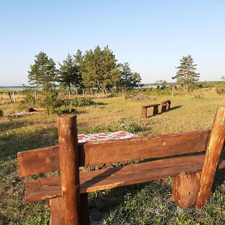 Kadakasuitsu Loodustalu Дом отдыха Saarekula