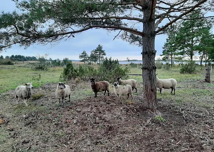 Kadakasuitsu Loodustalu Σπίτι διακοπών *