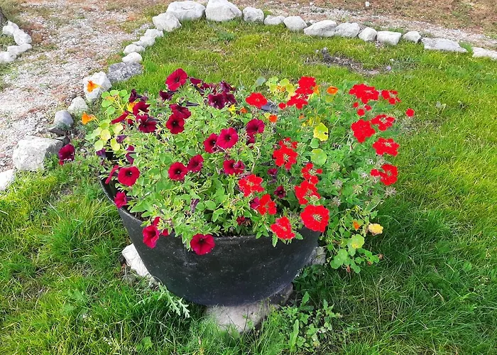 Kadakasuitsu Loodustalu Saarekula