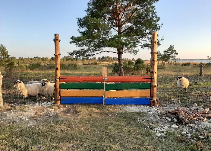 Kadakasuitsu Loodustalu 度假居 Saarekula