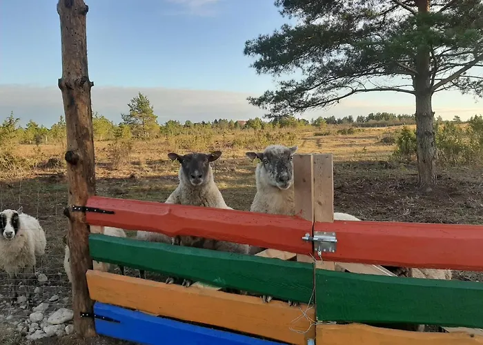 Kadakasuitsu Loodustalu * Saarekula