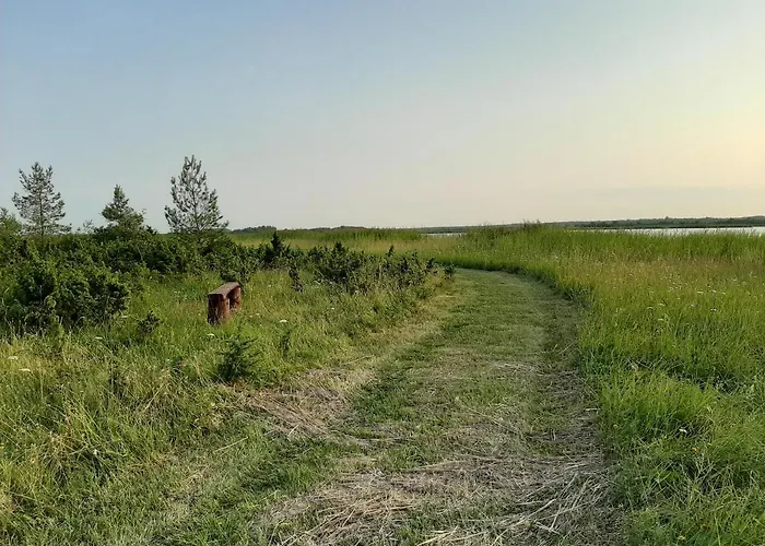 Kadakasuitsu Loodustalu Σπίτι διακοπών