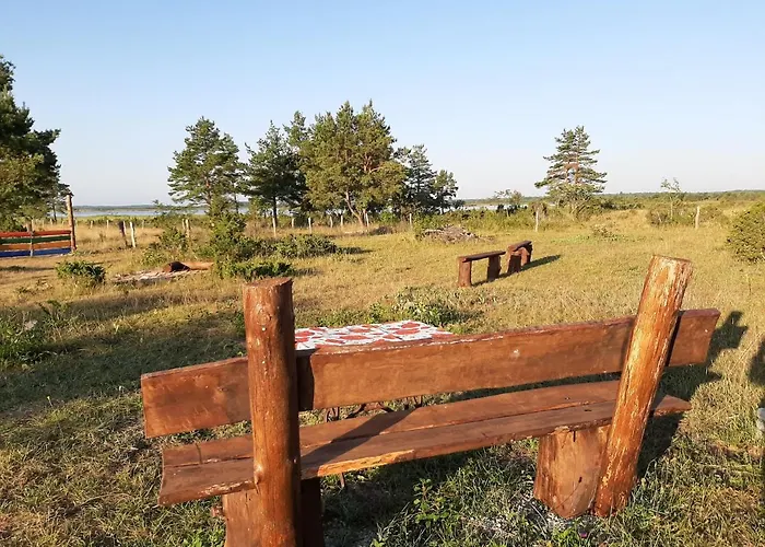 Kadakasuitsu Loodustalu Σπίτι διακοπών Saarekula