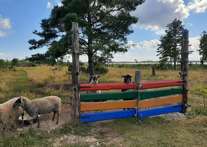 Kadakasuitsu Loodustalu Σπίτι διακοπών
